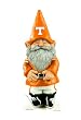 University of Tennessee Garden Gnome