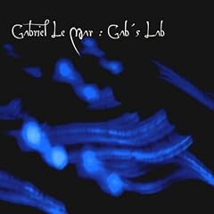 Gab'S Lab