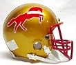 Birmingham Stallions USFL Mini Helmet