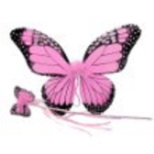 Monarch Butterfly Wing & Wand Set (More Colors...) Select Color: pink