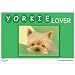 Greeting Cars Yorkie Dog Lover Car Magnet