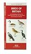 Birds of Britain: An Introduction to Familiar Species of England, Scotland & Wales (A Pocket Naturalist Guide)