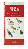 Birds of Britain: An Introduction to Familiar Species of England, Scotland and Wales (A Pocket Naturalist Guide)