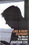 Like a Fiery Elephant: The Story of B.S. Johnson