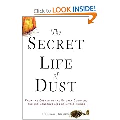 The Secret Life of Dust: From the Cosmos to the Kitchen Counter, the Big Consequences of Little Things
