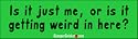 Is it just me, or is it getting weird in here? - funny bumper stickers (Medium 10x2.8 in.)