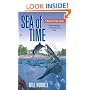 Sea Of Time