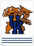 Kentucky Wildcats 27x37 Alternate Style Banner - COLLEGE ATHLETICS Sports Merchandise