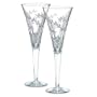 Waterford Crystal Celebration Success Flutes, Set of 2