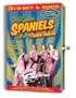Legendary Spaniels Plus / Goodnight