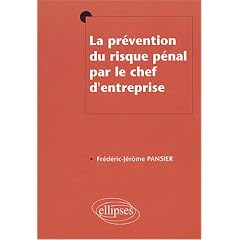 La pr�vention du risque p�nal par le chef d'entreprise
