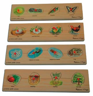 Childrens Toyshop  Toys : Kaplan Life Cycle Peg Puzzle Set (Set of 4 puzzles)