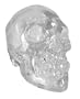 Crystal Clear Translucent Human Skull Figure Statue