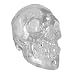 Crystal Clear Translucent Human Skull Figure Statue
