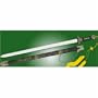 Master Tai Chi Sword