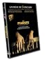 Le Pianiste
