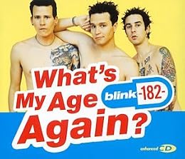 Blink 182 Picture 9