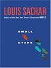 Small Steps (The Literacy Bridge)