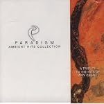 Paradigm Ambient Hits Collection - A Tribute to the Hits of Amy Grant book cover