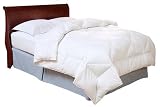 Pacific Coast Feather EuroFeather King Pillow, Set of 2