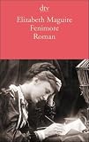 Fenimore: Roman