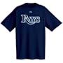 Tampa Bay Devil Rays Official Wordmark Short Sleeve T-Shirt,Navy Blue (Medium)