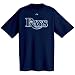 Tampa Bay Rays Official Wordmark Short Sleeve T-Shirt
