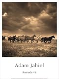 Remuda No. 6 Photography Art Poster Print by Adam Jahiel, 12x16