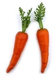 Artificial Country Carrot, Bag of 12 in 2 sizes
