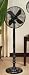 Deco Breeze Cambria Floor Standing Fan, Black