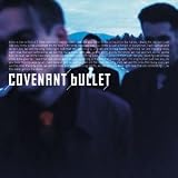 Bullet