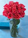 One Dozen Pink Perfection, Eco-Friendly - Pink Striped, Long-stem Roses