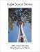 Puget Sound Stories