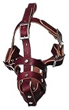 No Bite Leather Muzzle - Medium 10 in. to 12 in.