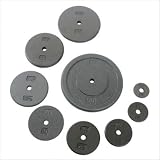 Regular Grey Plate Weight: 10 lbs Review 41D3BMy1vTL. SL160 Regular Grey Plate Weight: 10 lbs Review