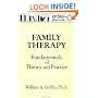 Family Therapy: Fundamentals Of Theory And Practice (Basic Principles Into Practice Series, Vol 1)