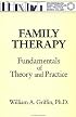 Family Therapy: Fundamentals of Theory and Practice (Basic Principles Into Practice Series, Vol 1)