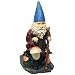Echo Valley Hiking Solar Gnome