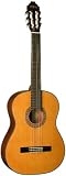 Washburn Classical Series Acoustic Guitar