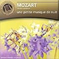 Mozart : Une petite musique de nuit