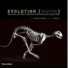 Evolution (in Action): Natural History Through Spectacular Skeletons by Jean-Baptiste de Panafieu and Patrick Gries