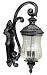 Kenroy Home Troubadour Medium Outdoor Wall-Mounted Lantern