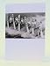 Boxed Christmas Holiday Greeting Cards - Vintage Image of Women Water Skiing