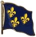 Pin's (épinglette) Drapeau France Île-de-France Fleur-de-Lys - 2 x 2 cm