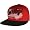 Detroit Red Wings