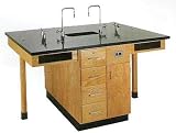 Diversified Woodcrafts 4 Station Science Center