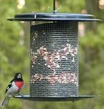 Bird Stuff Black Color Dome Feeder