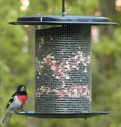 Bird Stuff Black Color Dome Feeder