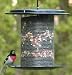 Bird Feeder, Bird Stuff Black Color Dome