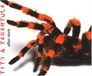 Tito & Tarantula - Back to the house Lyrics - Zortam Music